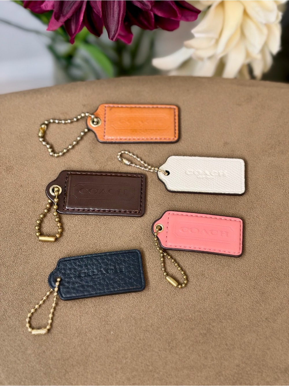Coach 5 PIECES Leather Tag - Multi-Color